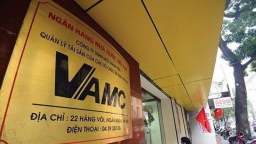 VAMC sắp mua khoản nợ hơn 245 tỷ đồng của Louis Trade Center tại BIDV