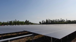 Bộ Công Thương: Sẽ rà soát các dự án điện mặt trời