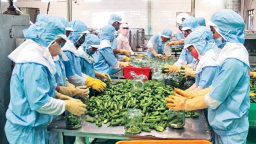 Chuyển hướng tiếp cận và chinh phục thị trường chất lượng cao