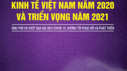 Kỷ yếu hội thảo Kinh tế Việt Nam năm 2020 và triển vọng năm 2021