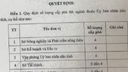 Nghệ An: Nhiều sở, ngành có đến 4 cấp phó