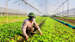 Xây dựng 3 phương án tăng trưởng ngành nông nghiệp Hà Nội