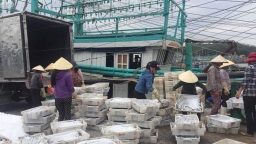Nghệ An: Tàu cá đóng mới theo Nghị định 67 với những khoản nợ “khổng lồ”