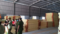 Công ty TNHH Vườn Xanh Bình Dương sản xuất nệm giả