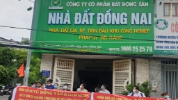 Bắt thêm 3 lãnh đạo Công ty Cổ phần Bất động sản Nhà đất Đồng Nai