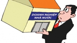 Doanh nghiệp 100% vốn nhà nước chịu sự giám sát, thanh kiểm tra toàn diện