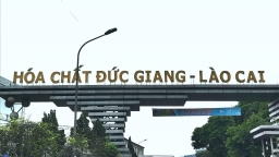 Lào Cai: Vi phạm đổ thải, Hóa chất Đức Giang bị xử phạt 120 triệu đồng