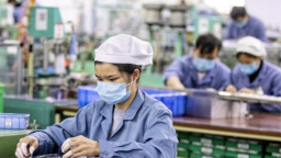 Nhiều doanh nghiệp bị cấm đưa lao động sang Nhật