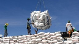 Hoả tốc lập đoàn kiểm tra 5 doanh nghiệp xuất nhập khẩu gạo