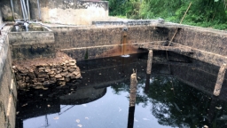 Thanh Hóa: 12 cơ sở xả thải không qua xử lý gây ô nhiễm sông Mã