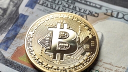 Giới chuyên gia dự báo tiền ảo Bitcoin sẽ thay thế tiền pháp định