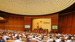 Quốc hội thảo luận về phát triển kinh tế - xã hội, ngân sách nhà nước