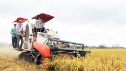 Kiến nghị mở “luồng xanh” cho vận tải đường thủy để tiêu thụ lúa gạo ở các tỉnh ĐBSCL