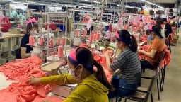 'Đa số doanh nghiệp tư nhân Việt Nam quản trị rủi ro chưa tốt'