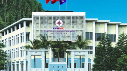 Đấu giá gói thầu của Công ty Điện lực Sơn La trong lúc giãn cách xã hội, nhà thầu lo không thể tham gia