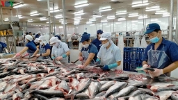 Những doanh nghiệp nào không bị Mỹ áp thuế chống bán phá giá cá tra?
