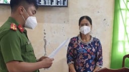 Bắt nữ giám đốc lừa đảo chiếm đoạt 8,3 tỷ đồng ở Đắk Nông