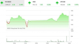 VN-Index rung lắc mạnh, nhà đầu tư hưng phấn
