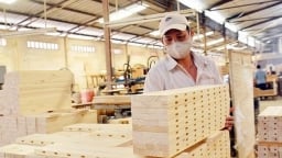 Xuất khẩu gỗ từ Việt Nam sang Trung Quốc gia tăng đột biến