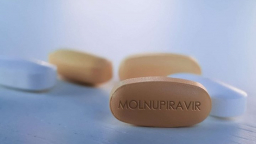 Anh dự kiến triển khai thí điểm cung cấp thuốc molnupiravir