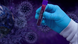 Triệt phá đường dây cung cấp virus Covid-19 tại Hà Lan