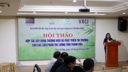 Hợp tác xây dựng và phát triển thị trường cho sản phẩm tre, luồng tỉnh Thanh Hóa