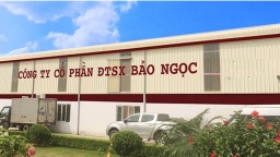 Công ty Cổ phần Đầu tư sản xuất Bảo Ngọc bị phạt trong lĩnh vực chứng khoán