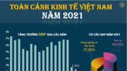 Toàn cảnh nền kinh tế Việt Nam trong năm 2021