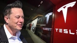 Elon Musk nộp thuế 11 tỷ USD, Tesla 0 USD