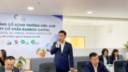 Bamboo Capital thông qua phương án bán riêng lẻ cổ phiếu BCG