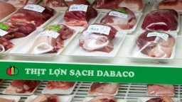 Dabaco Việt Nam (DBC) dự kiến thưởng cổ phiếu tỷ lệ 100%