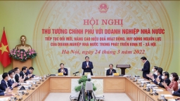 Tài liệu Hội nghị Thủ tướng Chính phủ với DNNN