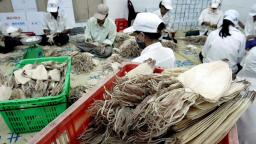 4 loài thủy vào Nhật Bản phải có chứng nhận khai thác