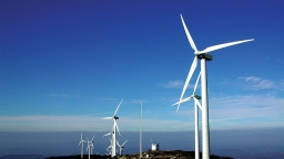 Nhà đầu tư điện gió nguy cơ phá sản, Thủ tướng lệnh Bộ Công Thương kiểm tra ngay