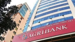 Agribank, VietinBank, SHB,  Agriseco, ABS... liên quan đến 9 lô trái phiếu bị hủy của Tân Hoàng Minh