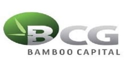 Công ty CP Bamboo Capital góp vốn 800 tỷ đồng vào BCG Energy