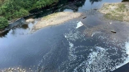 Thanh Hóa: Phó chủ tịch tỉnh yêu cầu dừng hoạt động công ty xả thải gây ô nhiễm sông Tràng
