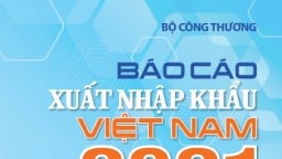 Báo cáo xuất nhập khẩu Việt Nam năm 2021