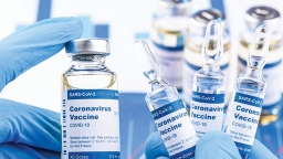 Đan Mạch là quốc gia đầu tiên dừng tiêm vaccine Covid-19