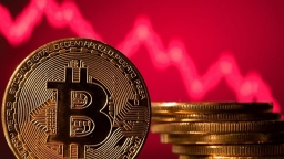 Giá Bitcoin giảm gần 56% so với mức đỉnh