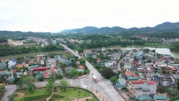 Quảng Ninh: Huyện Tiên Yên phát triển các sản phẩm chủ lực