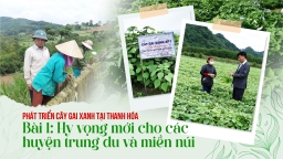 Hy vọng mới cho các huyện trung du và miền núi