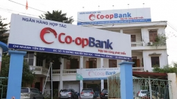 Chiếm đoạt tiền gửi của 100 khách hàng, cán bộ ngân hàng Co-opBank bị bắt