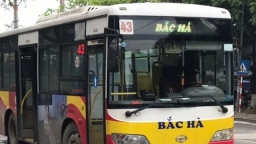 Hà Nội: Doanh nghiệp xe buýt xin dừng hoạt động vì nguy cơ vỡ nợ