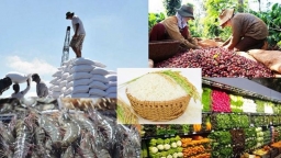 Nông nghiệp Việt Nam xuất siêu 6,3 tỷ USD