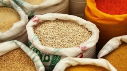 Giá lương thực toàn cầu đã giảm bất chấp lạm phát