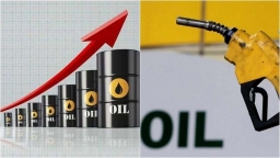 Giá dầu hôm nay tiếp đà tăng nhẹ
