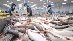 Mỹ giữ nguyên mức thuế chống bán phá giá với cá tra, basa từ Việt Nam