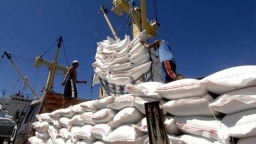 Philippines là thị trường xuất khẩu gạo lớn nhất của Việt Nam, đạt hơn 1 tỷ USD