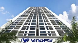 Vi phạm về thuế, Vinafor bị phạt 1,3 tỷ đồng
